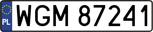 WGM87241