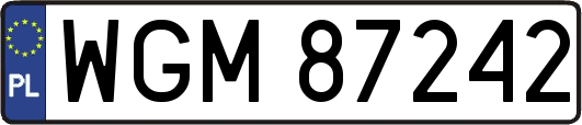 WGM87242