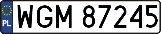 WGM87245