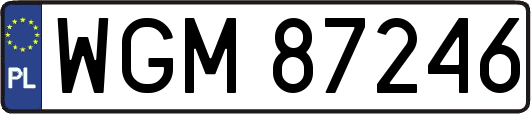 WGM87246