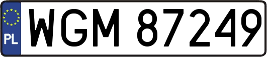 WGM87249