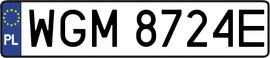 WGM8724E