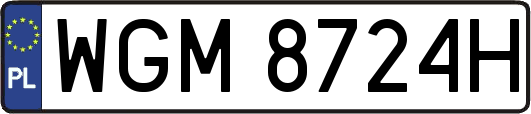 WGM8724H
