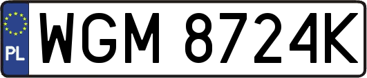 WGM8724K