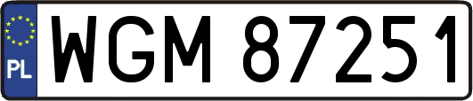 WGM87251