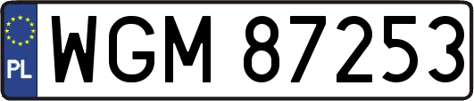 WGM87253