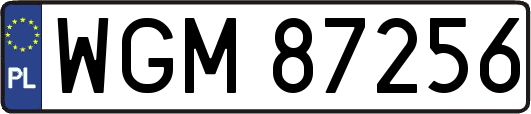 WGM87256