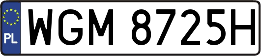 WGM8725H