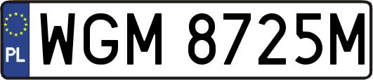 WGM8725M