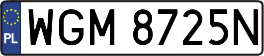 WGM8725N