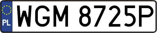 WGM8725P