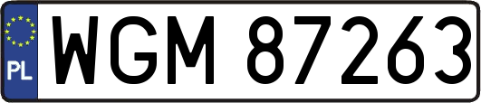 WGM87263