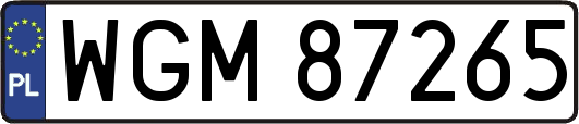 WGM87265