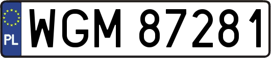 WGM87281