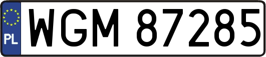 WGM87285