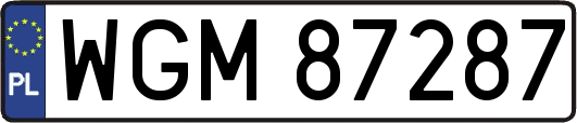 WGM87287