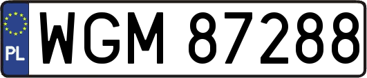 WGM87288
