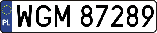 WGM87289
