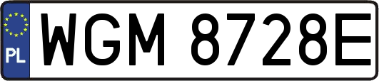 WGM8728E