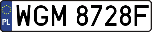 WGM8728F