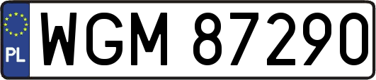 WGM87290