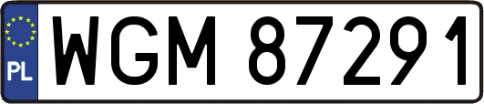 WGM87291