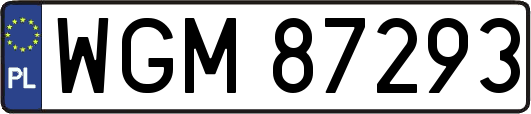WGM87293