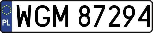 WGM87294