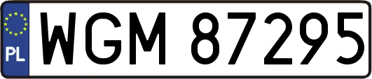 WGM87295