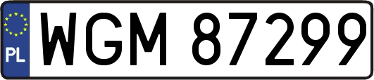 WGM87299
