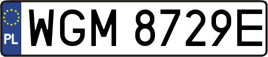 WGM8729E
