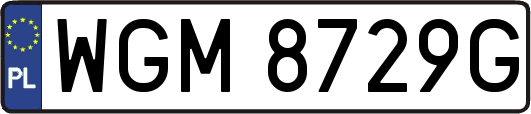 WGM8729G