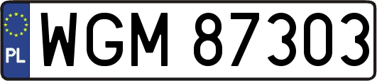 WGM87303