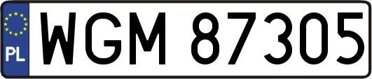 WGM87305