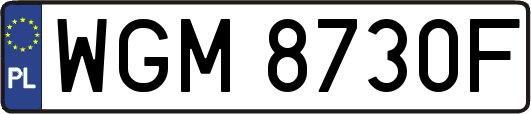 WGM8730F