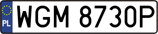 WGM8730P