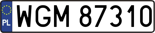WGM87310