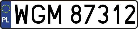 WGM87312