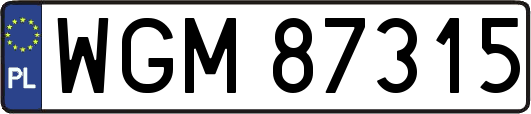 WGM87315