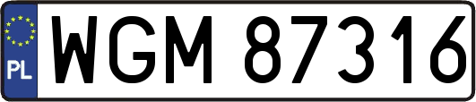 WGM87316