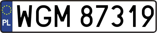 WGM87319