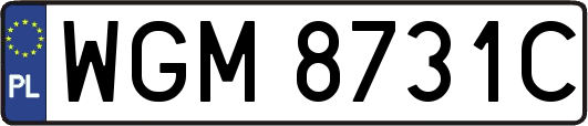 WGM8731C