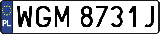 WGM8731J
