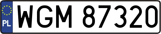 WGM87320