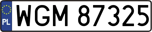 WGM87325