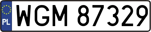 WGM87329