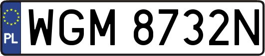 WGM8732N