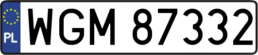 WGM87332