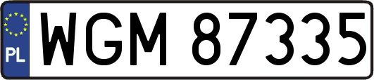 WGM87335