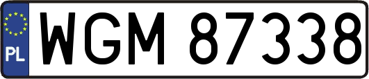 WGM87338